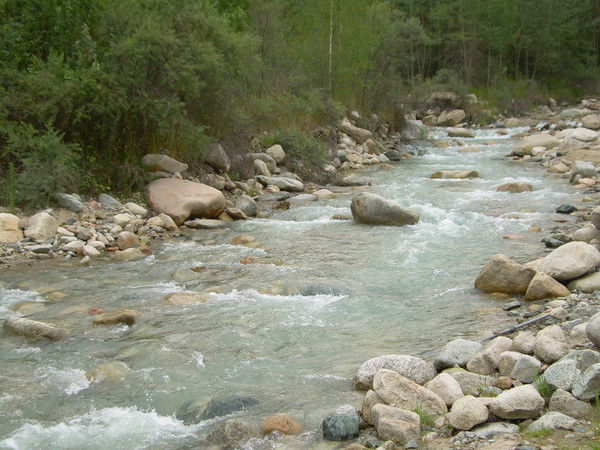 Назар Даурен