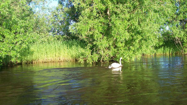 Нина Арканова