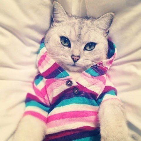 Мария Звирько