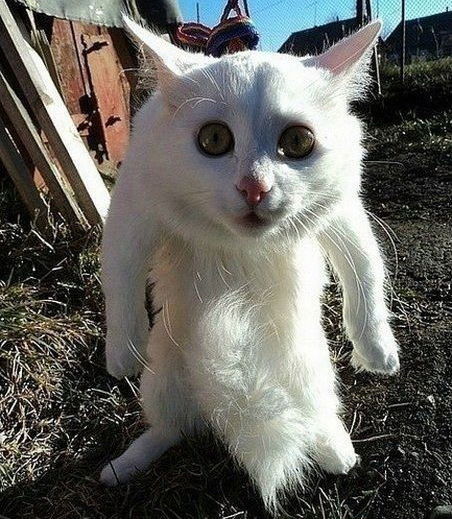 Юрий Гурский