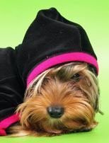 Игорь Ликанов