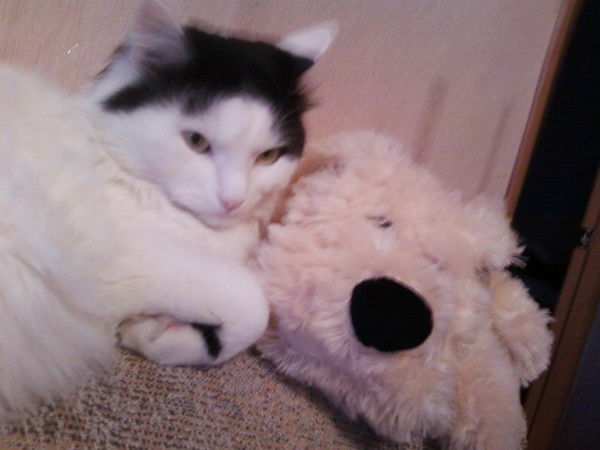 Елена Айметова