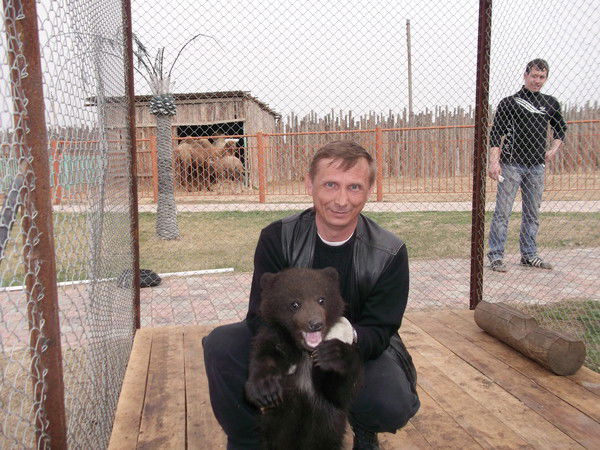 Сергей Толмачёв