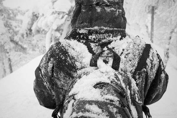 Саша (Ksandr) Захаров