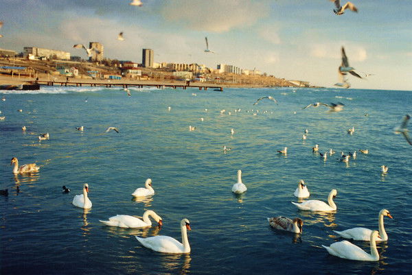 Ольга Зайдилаева