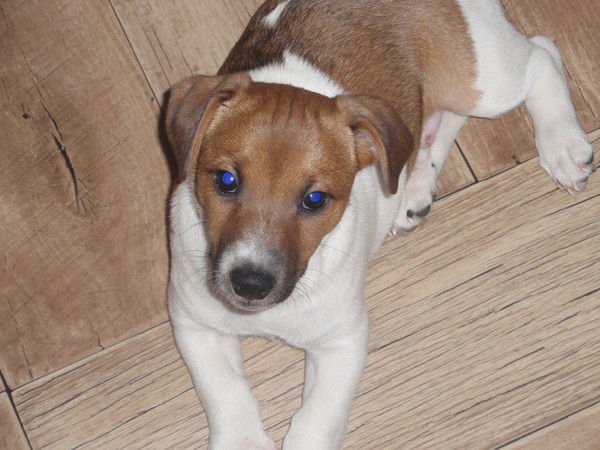 Александра Геляева