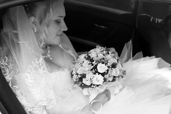 Елена Шефер