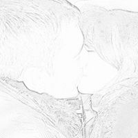 Мария Муферт