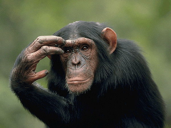 Андрей Уваров