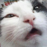 Вячеслав Часовских