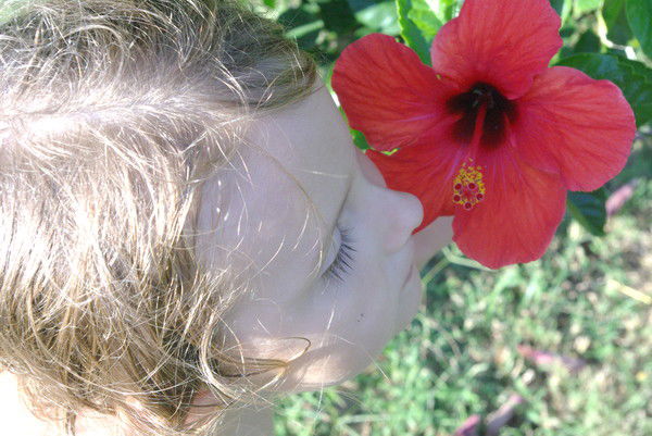 Елена Еремина