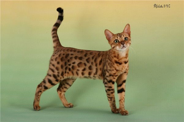 Татьяна Татьяна