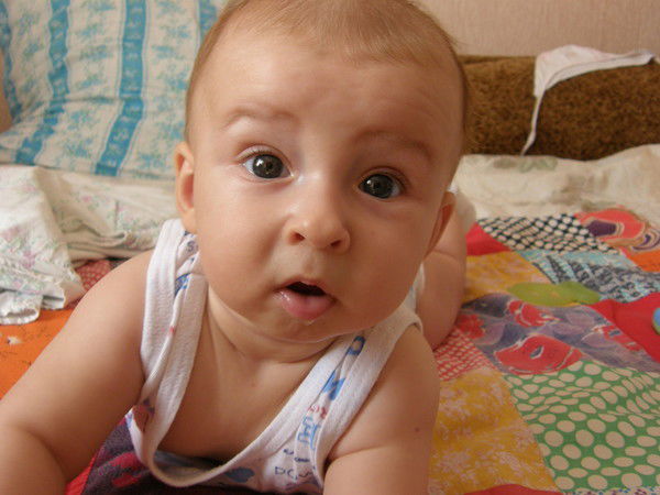 Елена Чернуха