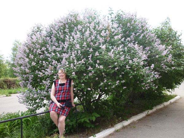 Надежда Красноярова