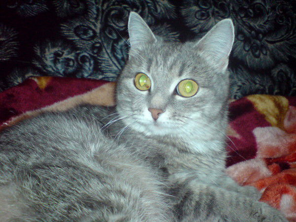 Наталия Кузина