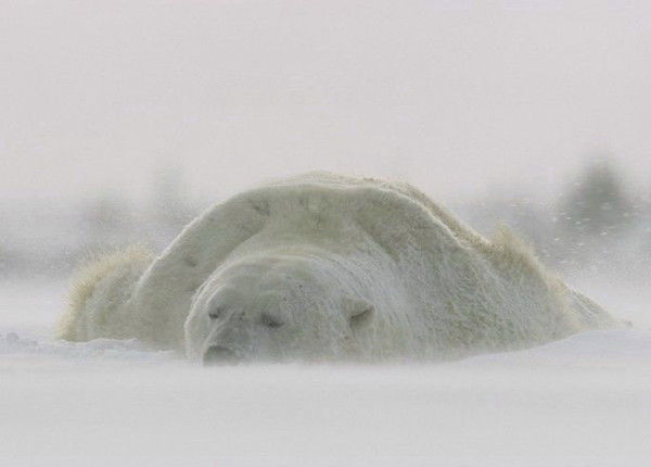 Solnce Aleksandrovich