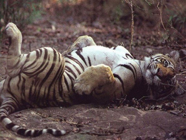 Юля Фролова