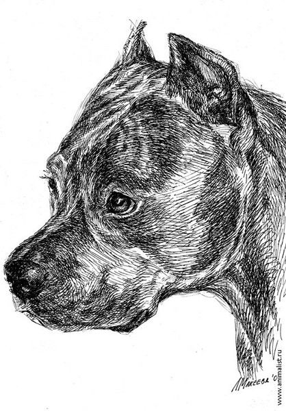 Роман Потылицин