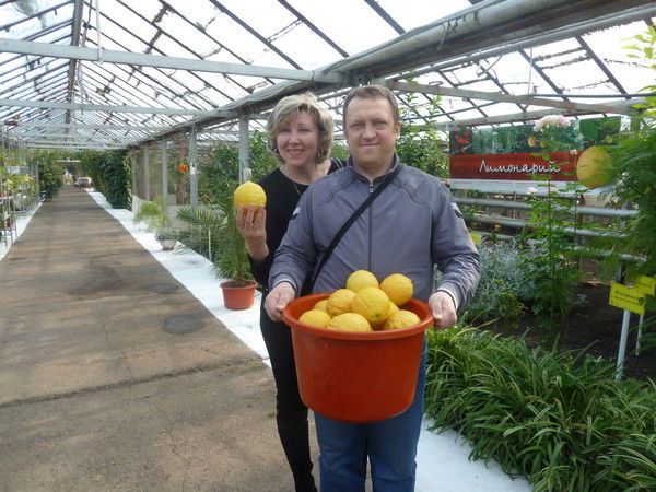 Игорь Князев