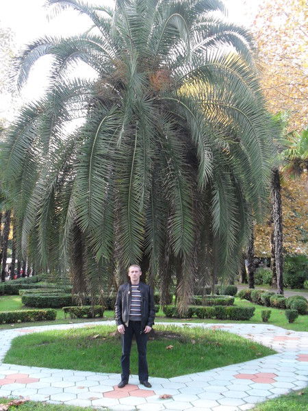 Алексей Бирюков