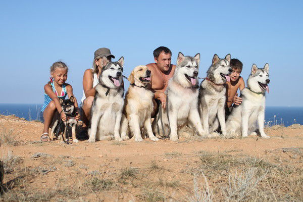 Наталья Караджова