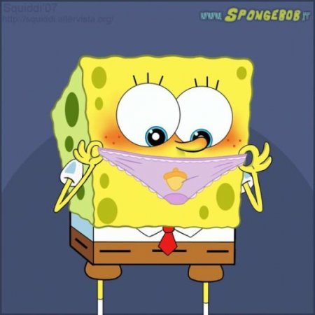 Александр Донник