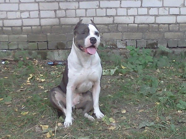 Любовь Перцева