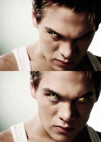 Дарья Евтушенко