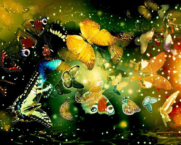 Ксения Савенкова