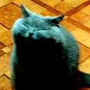 Владимир Чалый