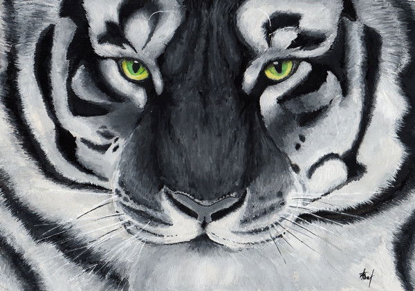 Дмитрий Тараненко