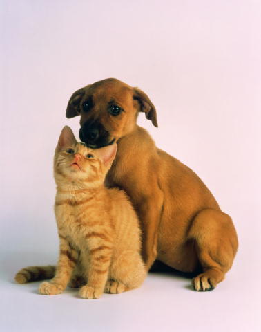 Сергей Рулинский