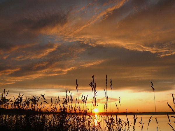 Айбек Камбеков