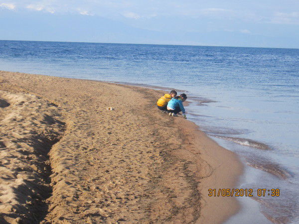 Александр Шефер