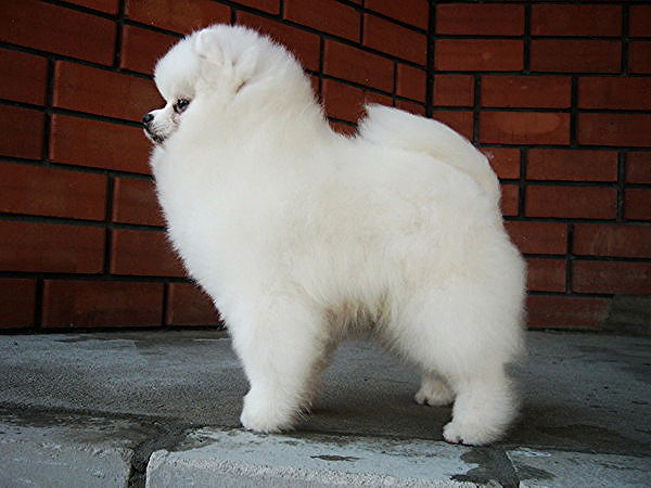 Надежда Толоконникова