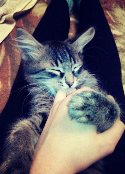 Яна Кострова