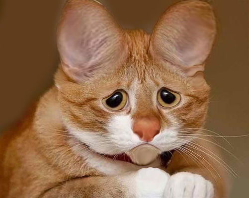 Жанна Астапчик