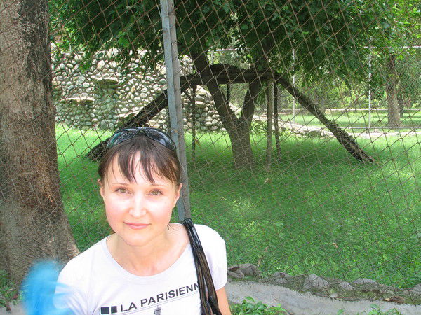 Светлана Волкова