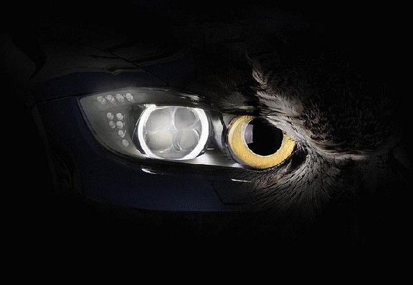 Александр Каминский