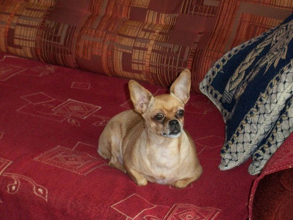 Нина Малкова