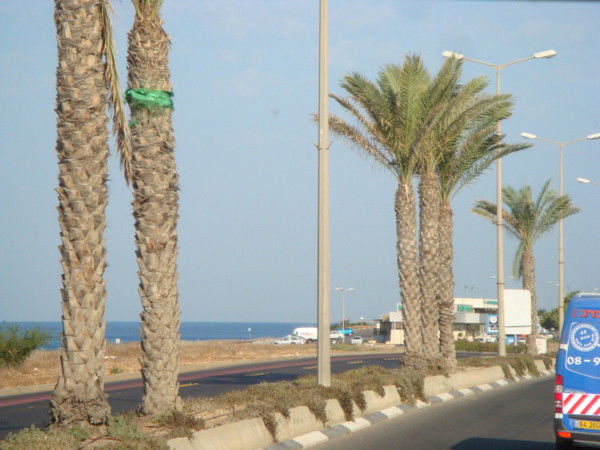 Алик Алимов