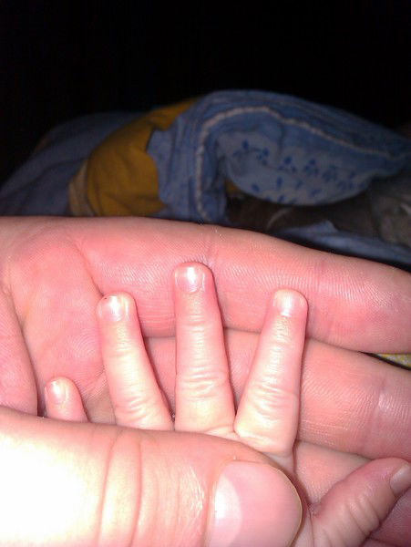 Николай Светлаков