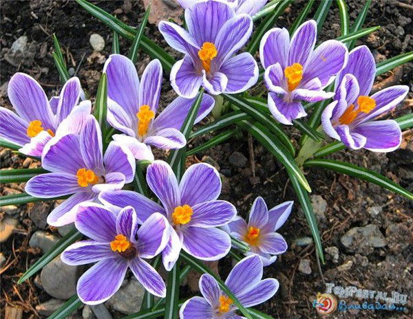 Олеся Кузьмина