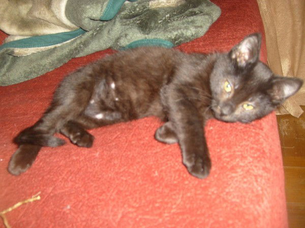 Мария Мария