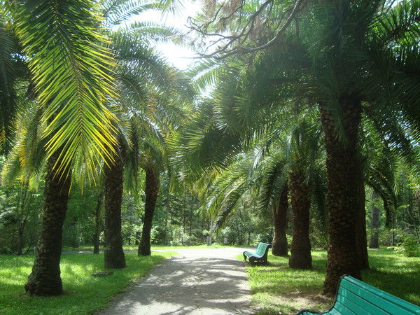 Оксана Чернуха