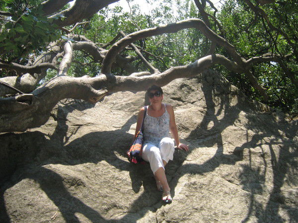 Светлана Демура