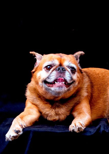 Светлана Ваксер