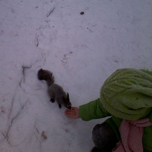 Алеся Волкова