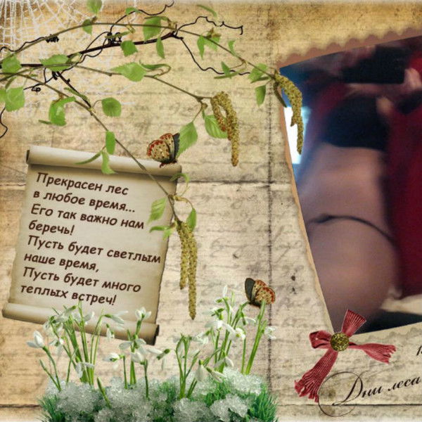 Светлана Ссчина