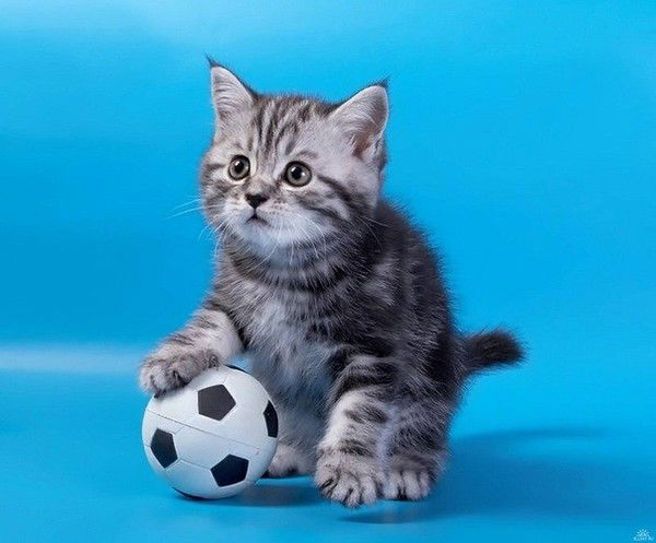 Гульнара Кенжебаева